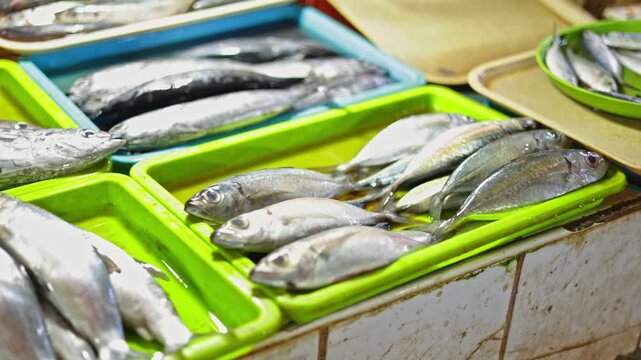 Fresh low-mercury fish pan family dinner prep stall, low-mercury fish shows safe small fish row with ingredient display, vibrant catch scene, prep moment, fits family meal planning content.