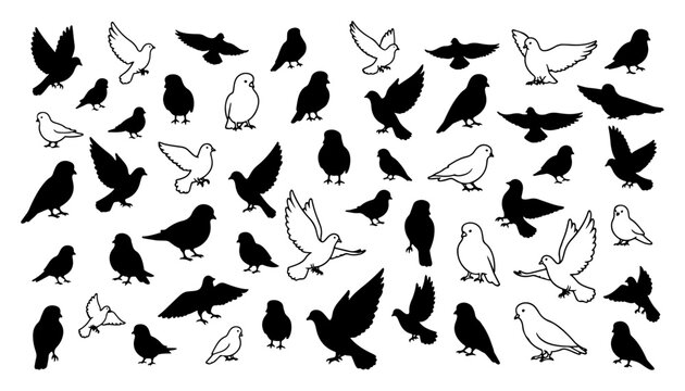 Seamless pattern featuring mixed silhouettes and outlines of pigeons and doves