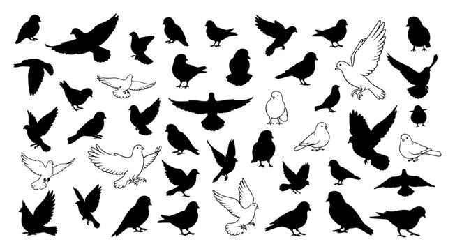 Seamless pattern featuring flying and sitting doves in silhouette and outline style