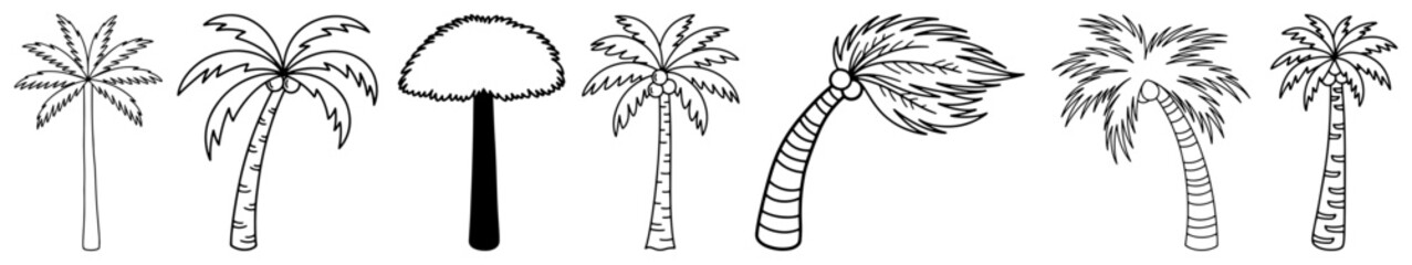 Set of hand drawn palm trees in various shapes and styles © Aisha Kudorova