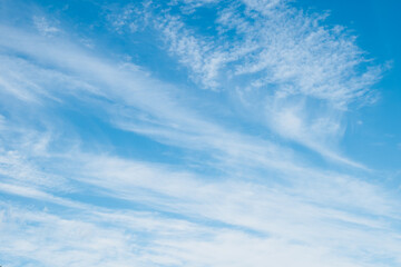 Fototapeta premium Panoramic view of a clear azure sky with wispy cirrus clouds. Soft blue gradients and airy textures create a vast minimalist backdrop with extensive copy space for web