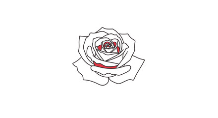 Elegant outline illustration of a rose flower in full bloom isolated on white