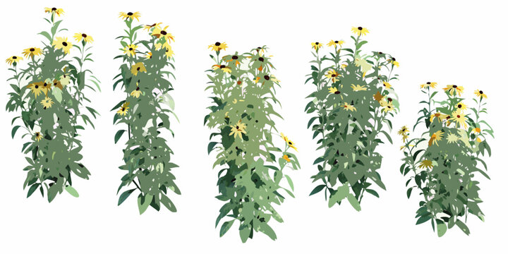A collection of stylized black eyed susan plants in varying heights