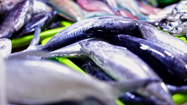 Pan over fish display transitioning to shrimp local market, pan shows small seafood row with vibrant catch assortment, colorful variety scene, market moment, perfect seafood cuisine lifestyle videos.