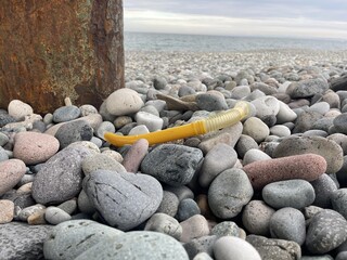 a tube for snorkling on the beach © artmim