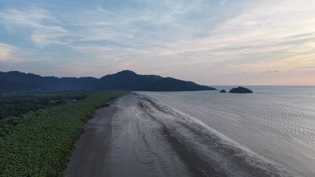 Aerial mangrove forest coastline with tidal mudflat and island