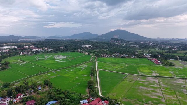 Aerial Labuh Banting paddy fields village and mountain backdrop
