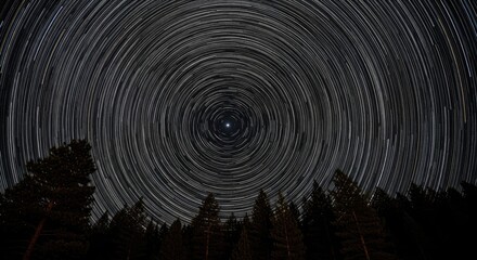 Fototapeta premium Stunning star trails circling Polaris over dark forest silhouette, long-exposure night sky photography capturing Earth's rotation, cosmic cosmic landscape with celestial motion and natural darkness