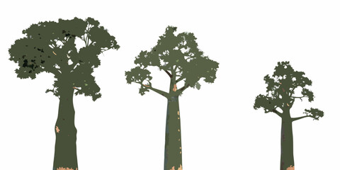 Three stylized trees of varying heights against a white background