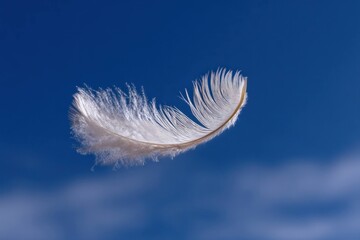 Fototapeta premium Feather floating in the air with clear blue sky background, soft texture and lightness captured in natural daylight, isolated with delicate details and gentle movement.