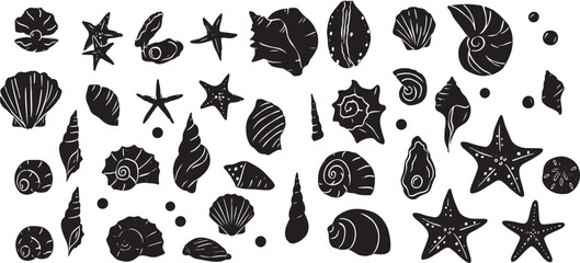 black and white illustration of various sea shells and starfish © GraphicGrove