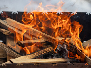 Fototapeta premium Burning firewood, orange flames filling the frame 