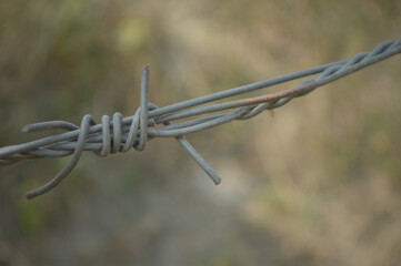Rusty Barbed Wire Fence Close-Up With Green Leaves And Blurred Rural Background