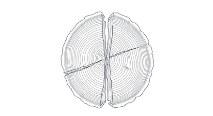 Stylized cross-section of an aged tree with visible growth rings and a crack. © TDF CREATIVE