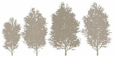 Silhouettes of four coniferous trees against a plain white background © Tarun