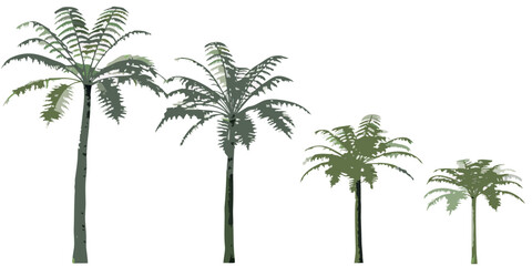 Four palm trees of varying heights stand against a white background © Tarun