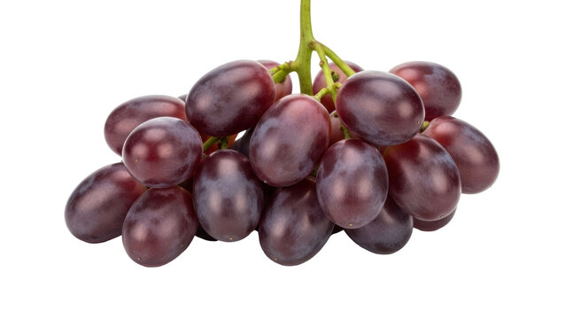 Isolated bunch of purple grapes with stem, fresh healthy fruit, natural snack, good taste