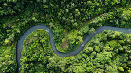 Fototapeta premium Aerial view of winding river through lush tropical forest