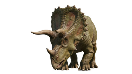Isolated Triceratops dinosaur animal, prehistoric reptile standing, ancient wildlife creature © Nuria