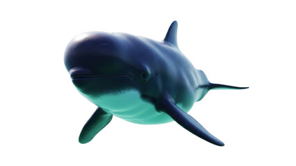 Fototapeta premium Isolated Pilot Whale in Swimming Pose on Plain Backdrop for Educational Purposes