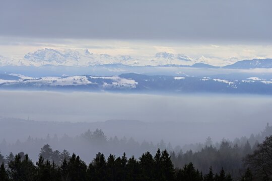 Fog over Lake Zug in the foreground the village of Cham, behind the snow-covered Alps with the Fl&uuml;brig and Vrenelisg&auml;rtli mountains. Beinwil, Freiamt, Horben, Lindenberg, Canton of Aargau, Switzerland