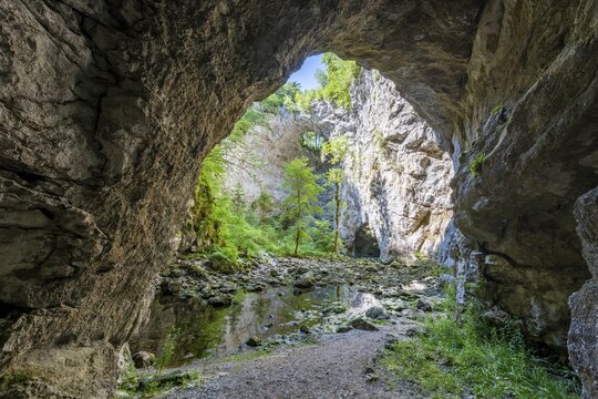 Zelske Jama cave, Rak river, Rakov Skocjan, Notranjska region, Slovenia