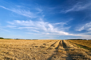 Fototapeta premium Rural landscape with stubble between cultivated fields after the summer harvest