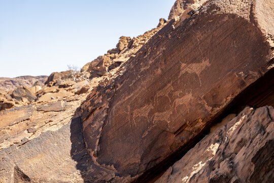 Depictions of animals on a rock slab, petroglyphs, rock engravings, Twyfelfontein, Kunene, Namibia