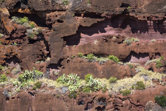Weathered lava rocks on the cliffs near Paul do Mar, Madeira, Portugal