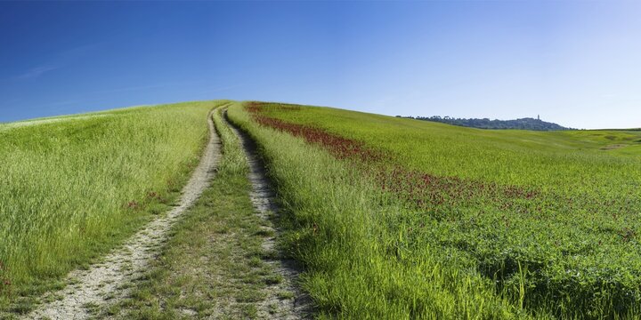 Landscape around Pienza, Val dOrcia, Orcia Valley, UNESCO World Heritage Site, Siena Province, Tuscany, Italy
