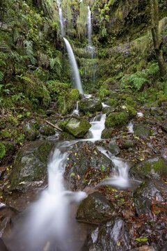 Waterfall on a rock face overgrown with ferns and moss, long exposure, Levada do Caldeir&atilde;o Verde, Parque Florestal das Queimadas, Madeira, Portugal