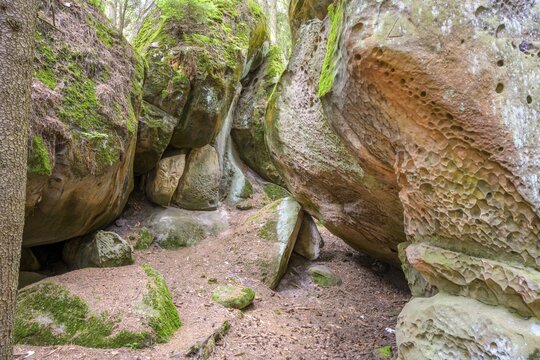 Sandstone rocks of, Besedice, Libereck&yacute; kraj, Czech Republic