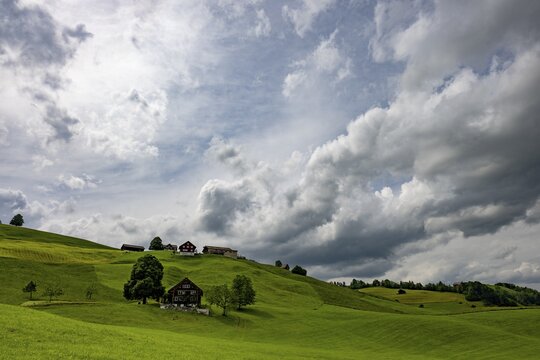 Farms in hilly landscape, Wildhaus, Appenzell, Switzerland
