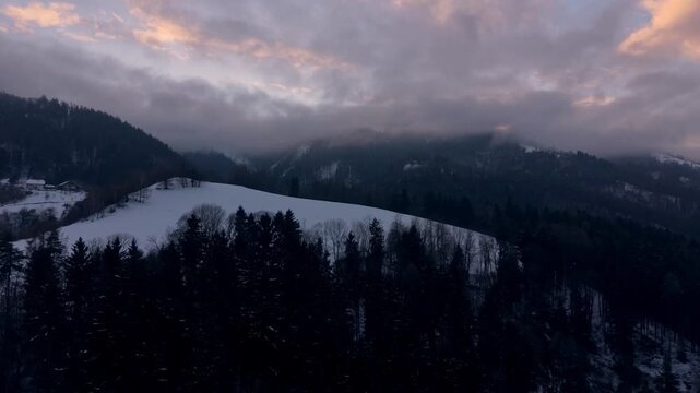 Snowy hilltop with forest at dusk
