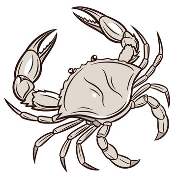 A brown crab with claws raised