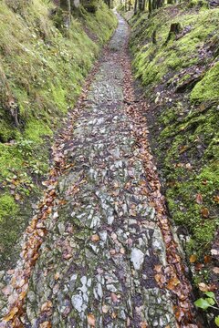 Celtic road, Roman road, Rottweg, historic track road near Klais, Werdenfelser Land, Upper Bavaria, Bavaria, Germany