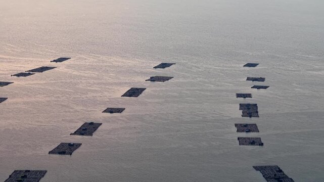 Aerial drone view of kelong fish farms at sunset