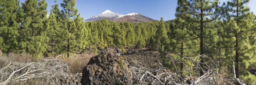 Arena Negras, behind Pico del Teide, 3715m and Pico Viejo, 3135m, Teide National Park, Tenerife, Canary Islands, Spain