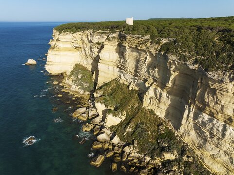 Cliff, pine tree (Pinus pinea) forest and watchtower Torre de Tajo in the Nature Reserve La Bre&ntilde;a y Marismas del Barbate, aerial view, drone shot, C&aacute;diz province, Andalusia, Spain