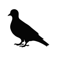 Fototapeta premium Black Pigeon Silhouette Vector Illustration Isolated on White Background