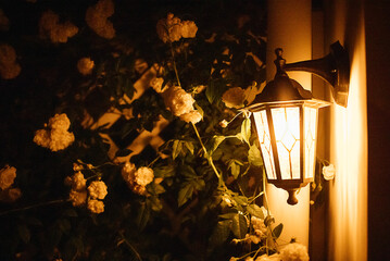 Vintage outdoor lantern illuminated at night surrounded by climbing white roses and green foliage on a wall, creating a warm and inviting atmosphere © Dasha Petrenko