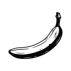 Hand-drawn black and white banana illustration isolated on white background, vintage ink sketch style of a single tropical fruit, minimalist food art for healthy lifestyle and kitchen decor.