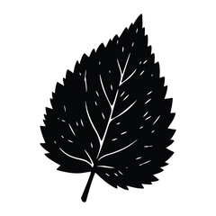 Hand-drawn black leaf silhouette with white vein details isolated on a plain white background, perfect for botanical illustrations, autumn-themed designs, and rustic nature-inspired branding.