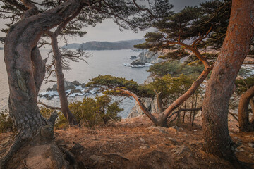 Coastal landscape featuring twisted trees overlooking rocky shoreline and calm sea under a cloudy sky, showcasing natural beauty and rugged terrain