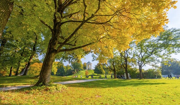 Autumn trees with yellow foliage, Monopteros, English Garden, Munich, Upper Bavaria, Bavaria, Germany