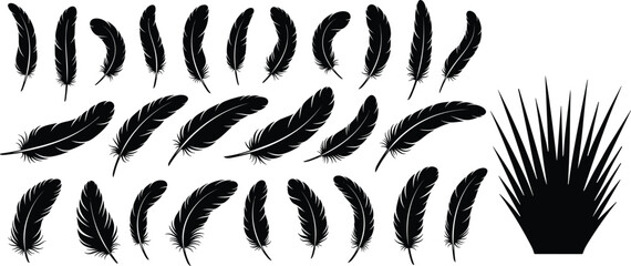 Black feather silhouette collection set, decorative bird plumage elements and grass shape vector illustration isolated on white background © Mostafizar