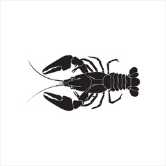 crawfish vector