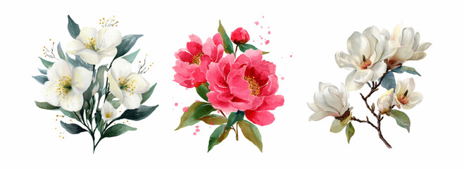 Beautiful floral collection portraying jasmine, peony, and magnolia blooms with soft green leaves, rendered in a delicate watercolor artistic style against a white background © Narin