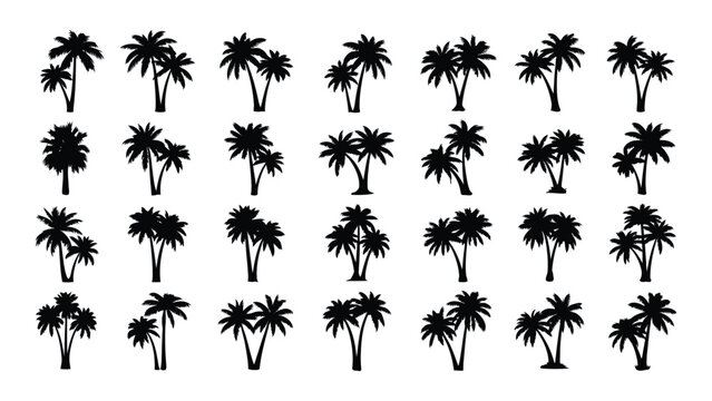 A collection of black palm tree silhouettes on a white background isolated on white background, Vector