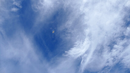 Obraz premium Gabbiano